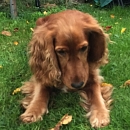 Emmi