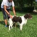 Lasko