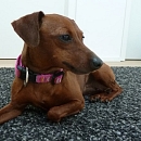 Lena