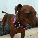 Lena