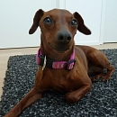 Lena