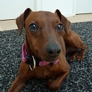 Lena