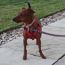 Lena