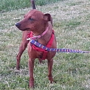 Lena