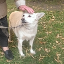 Bella