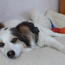 Puppe