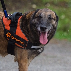 Torka