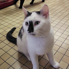 Casper