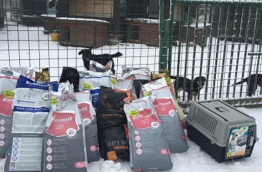 Spendenaufruf beendet - Die Hunde hatten kaum mehr Futter: auch Weihnachten 2017 brauchte das Tierheim Vranov in der östlichen Slowakei wieder dringend Unterstützung