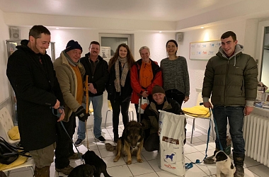 SPENDENAUFRUF ERFOLGREICH BEENDET! Tierärztliche Versorgung; Kastrationen, Blutbilder, Impfungen etc. für ca. 17 Obdachlosenhunde in D-Weil am Rhein und F-Mulhouse