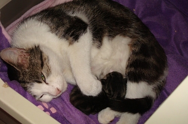 Rita und Ihre Babys wären fast gestorben