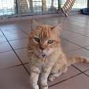 Galileo