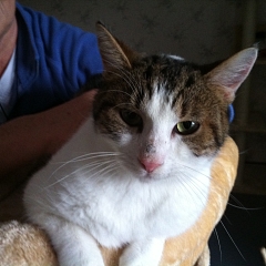  Aramis 1