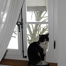 Mia