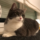 Mia
