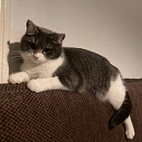 Mia
