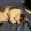 Mia