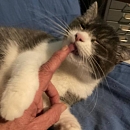 Mia