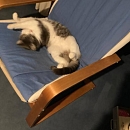 Mia
