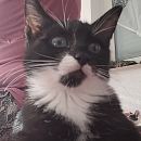 Jim