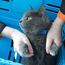 Kasper