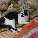 Luca