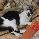 Luca