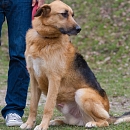 Timo