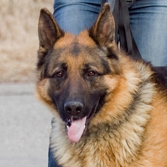 Esko