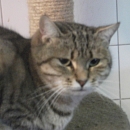 Fee