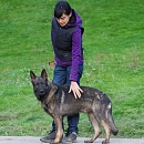 Zaro